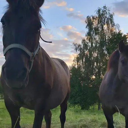 بيت للعطل Dom W Gajowce U Podnoza Gor Izerskich Gajowka (Lower Silesia)