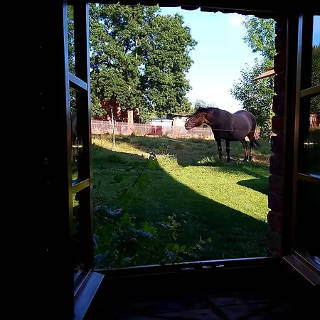 بيت للعطل Dom W Gajowce U Podnoza Gor Izerskich Gajowka (Lower Silesia)